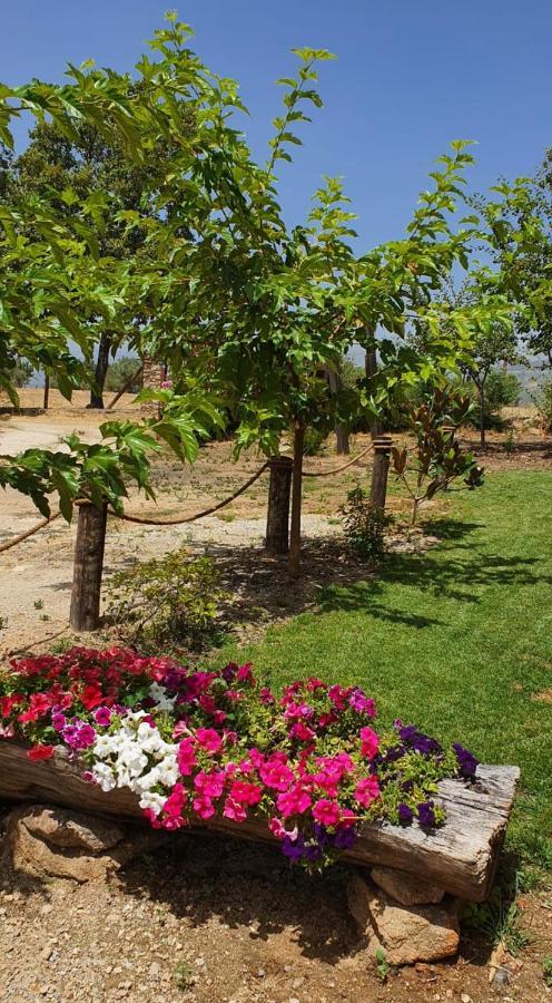 Casa Rural Las Traviesas 坎德莱达 外观 照片